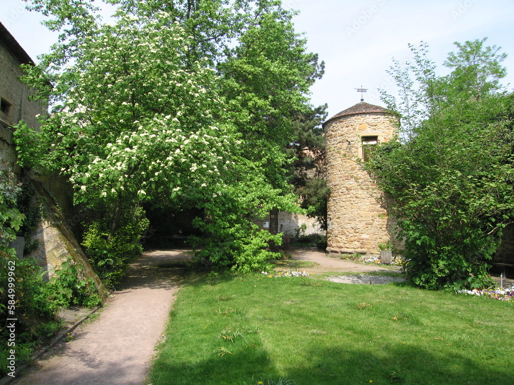 Fotografie Turmschreiberturm in Deidesheim