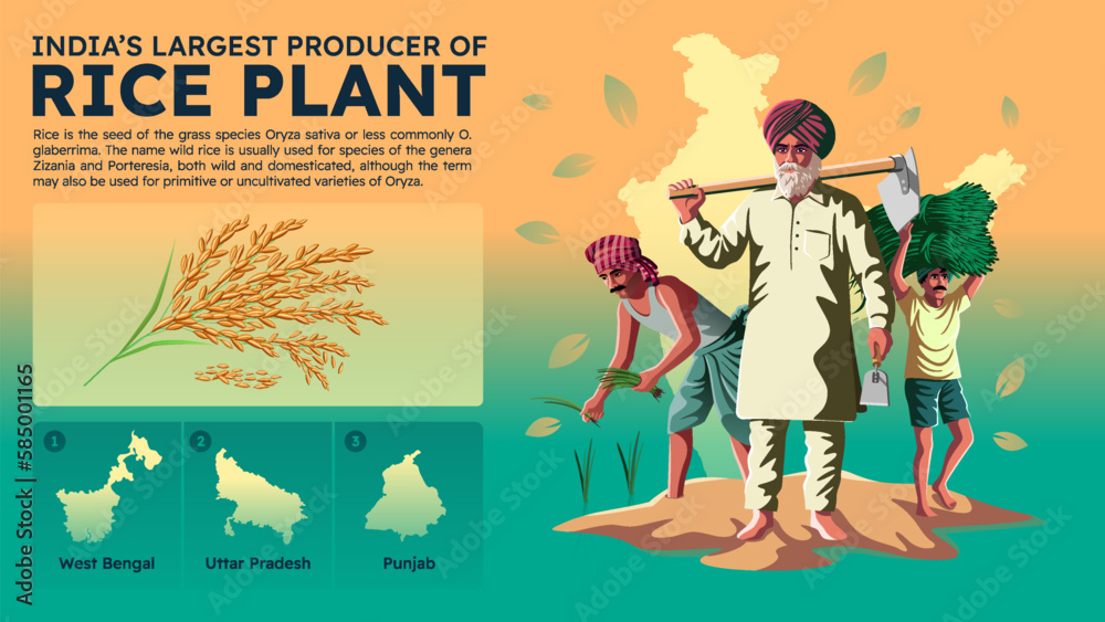 Visualizing India's Largest Rice Producing States and Their Farmers