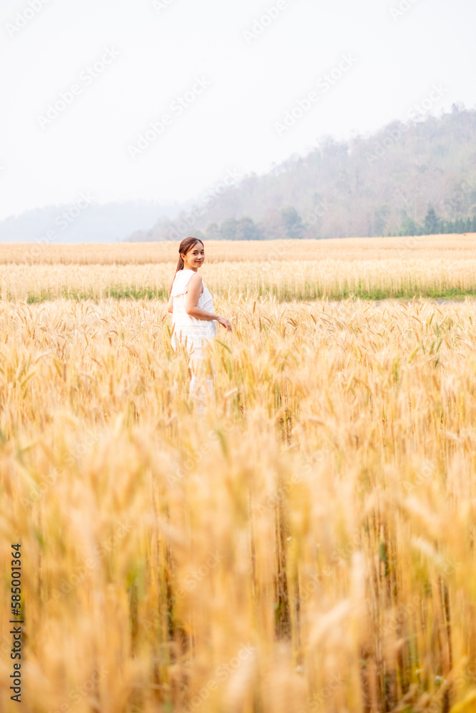 Young Asian women  in white dresses walking in the Barley rice field season golden color of the wheat plant at Chiang Mai Thailand