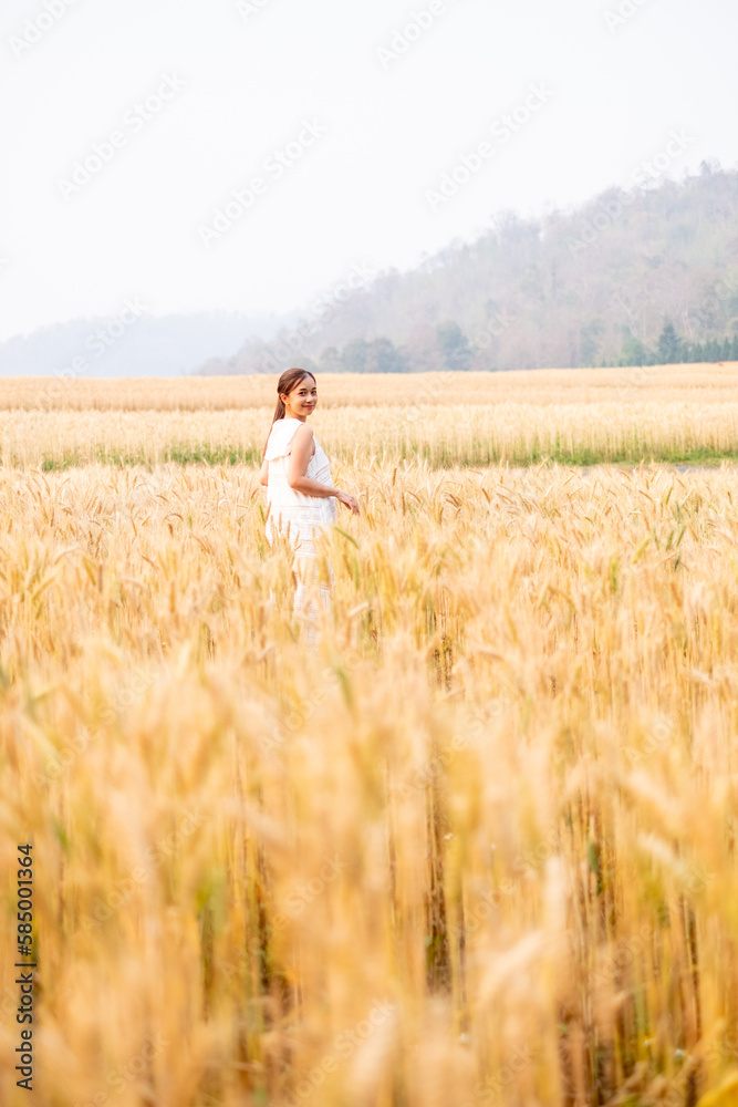 Young Asian women in white dresses walking in the Barley rice field season golden color of the wheat plant at Chiang Mai Thailand Young Asian women in white dresses walking in the Barley rice field season golden color of the wheat plant at Chiang Mai Thailand