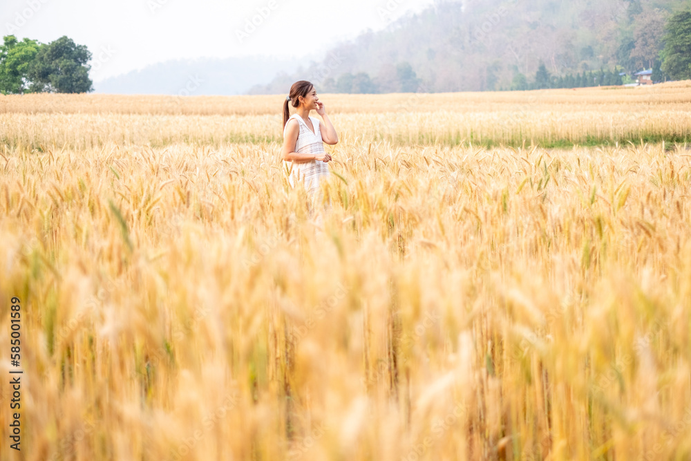 Young Asian women in white dresses walking in the Barley rice field season golden color of the wheat plant at Chiang Mai Thailand Young Asian women in white dresses walking in the Barley rice field season golden color of the wheat plant at Chiang Mai Thailand