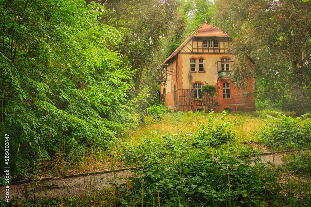 Heilstätte Grabowsee - Verlassener Ort - Beatiful Decay - Verlassener Ort - Urbex / Urbexing - Lost Place - Artwork - Creepy - High quality photo