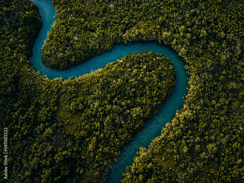 Tela Winding mangrove river