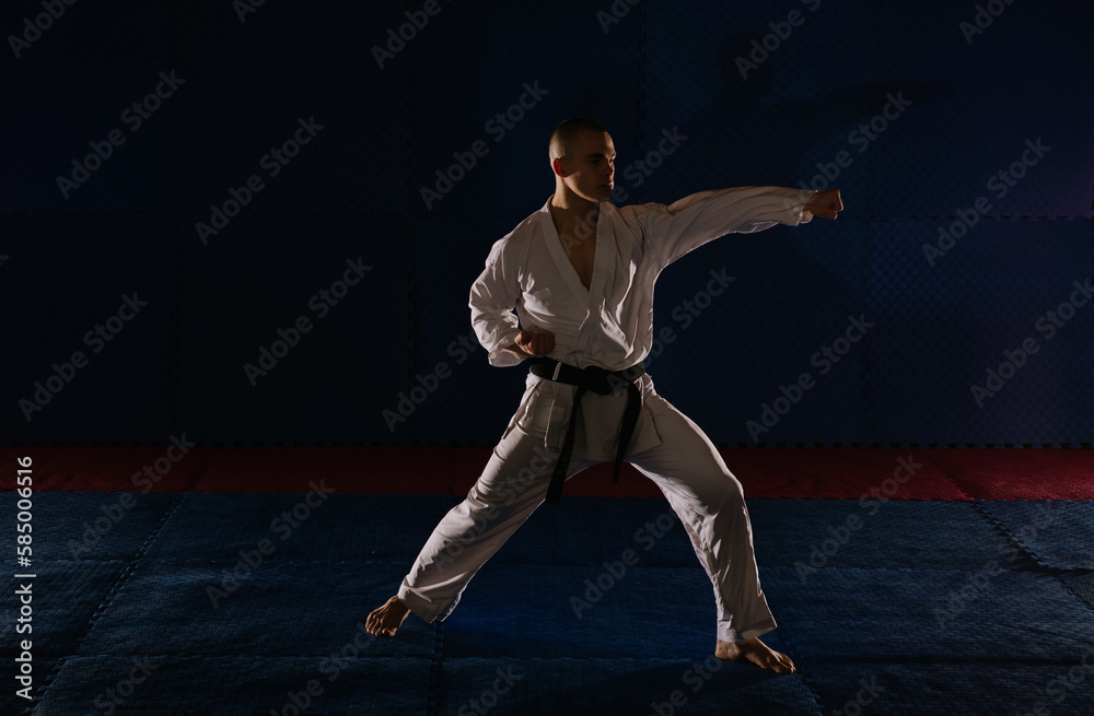 Karatist doing karate pose Karatist doing karate pose