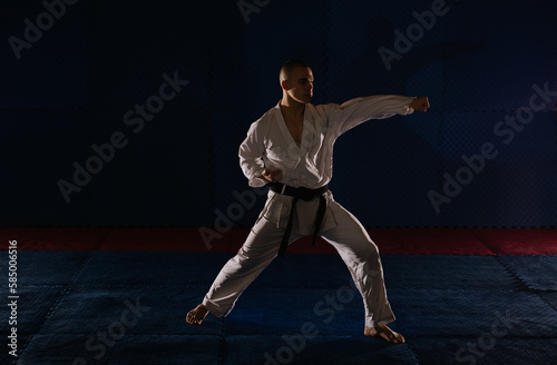Karatist doing karate pose