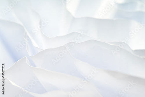 Paper Petals A Delicate White Paper Abstract