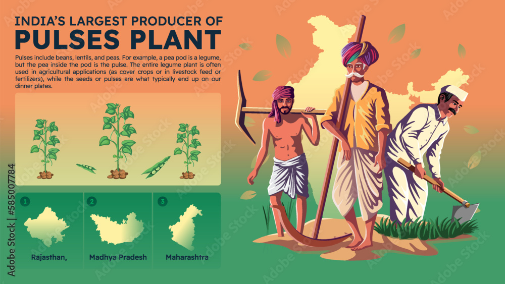 Obraz premium Visualizing India's Largest Pulses Producing States and Their Farmers - Vector Illustration