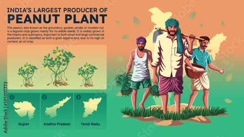 Visualizing India's Largest Peanut Producing States and Their Farmers - Vector Illustration