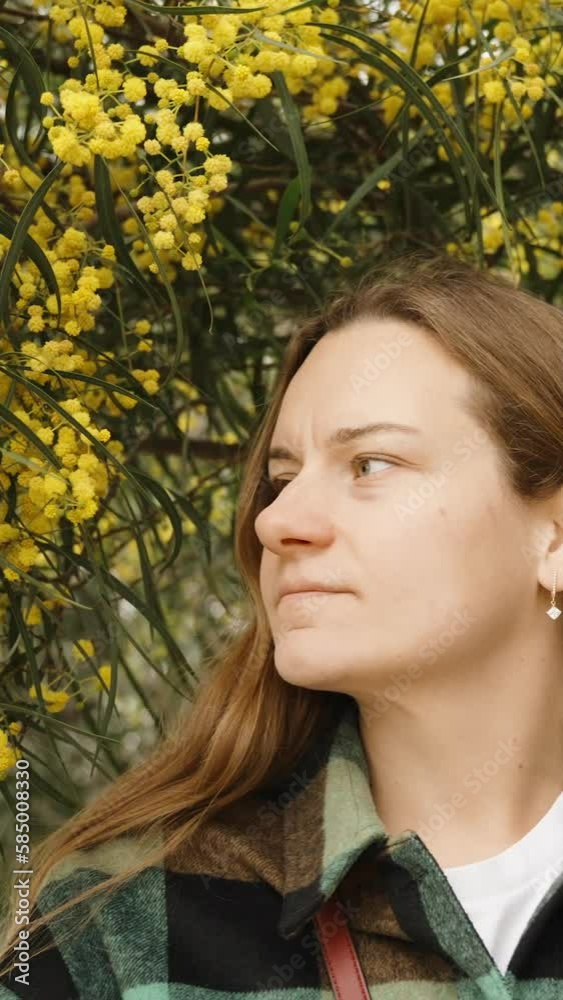 A young woman surrounded by flowering yellow mimosa trees. Vertical. Social Media