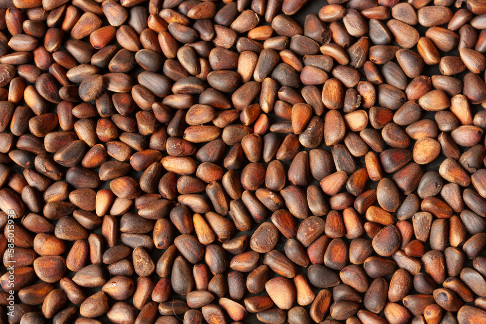 pine nuts in the shell, food background pine nuts in the shell, food background