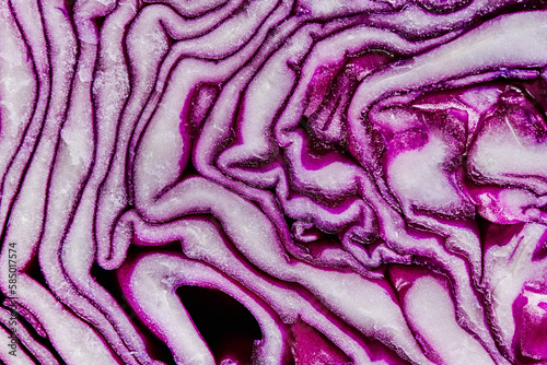 cross section of a red cabbage photo