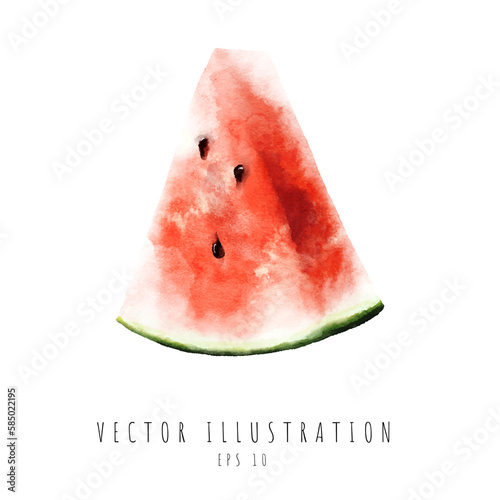 Sliced ripe watermelon watercolor painting