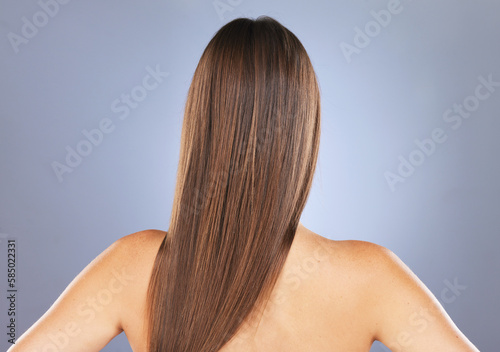 Woman back, beauty and hair care in studio for texture, growth and healthy shine on blue background. Aesthetic female model for haircare, wellness and results for salon or hairdresser treatment space