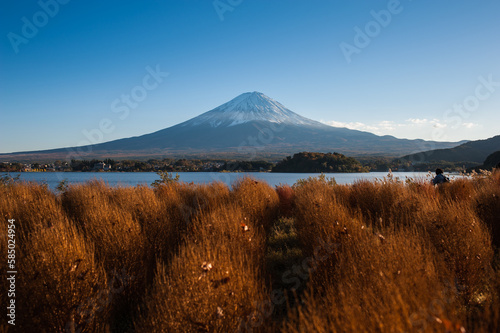 landscape in the morning