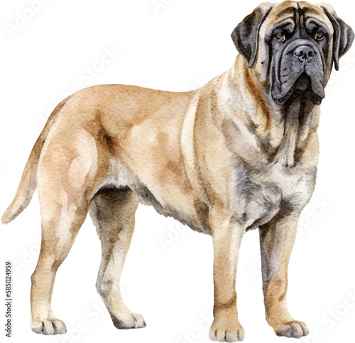 English Mastiff dog illustration created with Generative AI technology