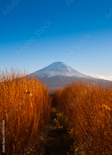 landscape in autumn