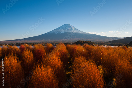 mount hood state