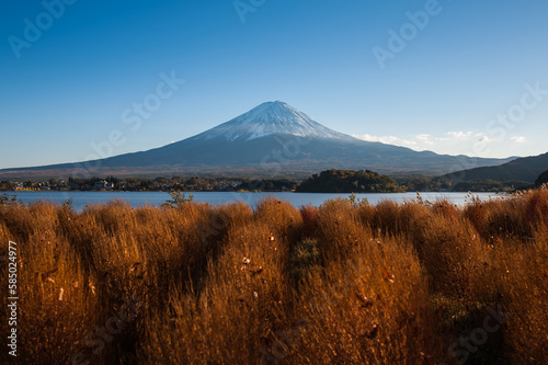 landscape in the morning
