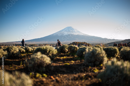 landscape in the morning