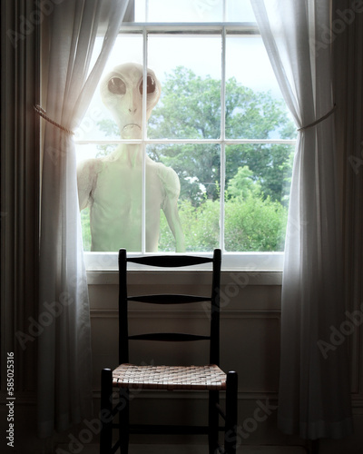 Alien Extraterrestrial at Window photo