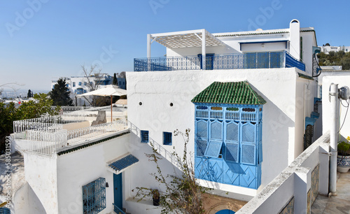 Clean White and Blue Andalusian Exteriors with Clear Sky in Sidi Bou Said, Tunis
