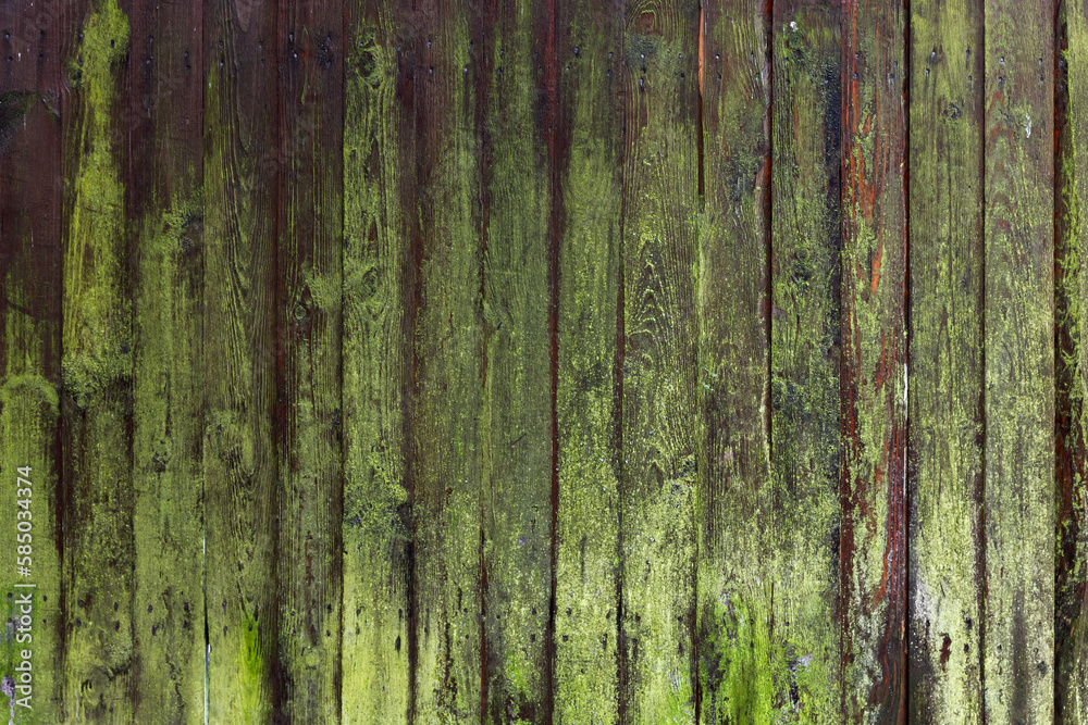Fototapeta premium Old grungy wooden wall with lichen on weathered boards