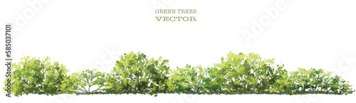 Vector watercolor of green grass side view isolated on white background for landscape and architecture drawing, elements for environment and garden, painting botanical for section