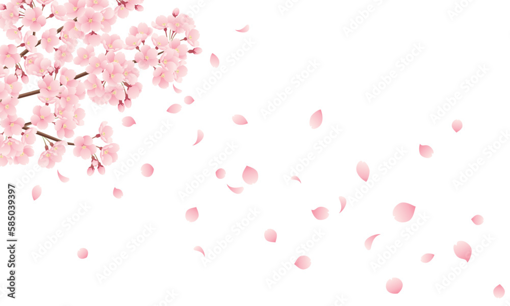 花びら散る桜のイラスト