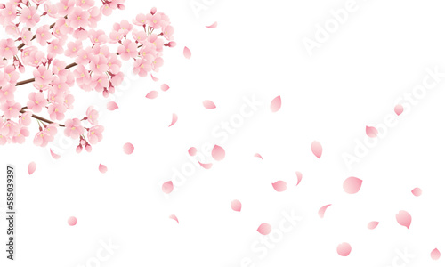 花びら散る桜のイラスト