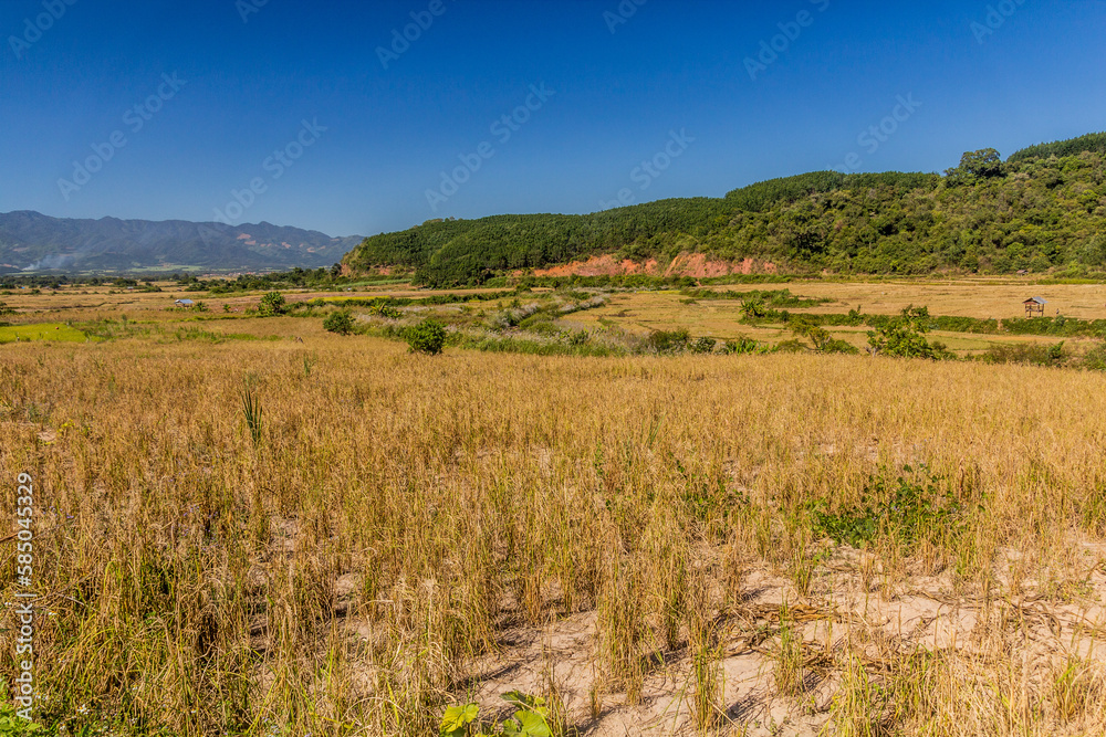 Rural landscape near Muang Sing, Laos