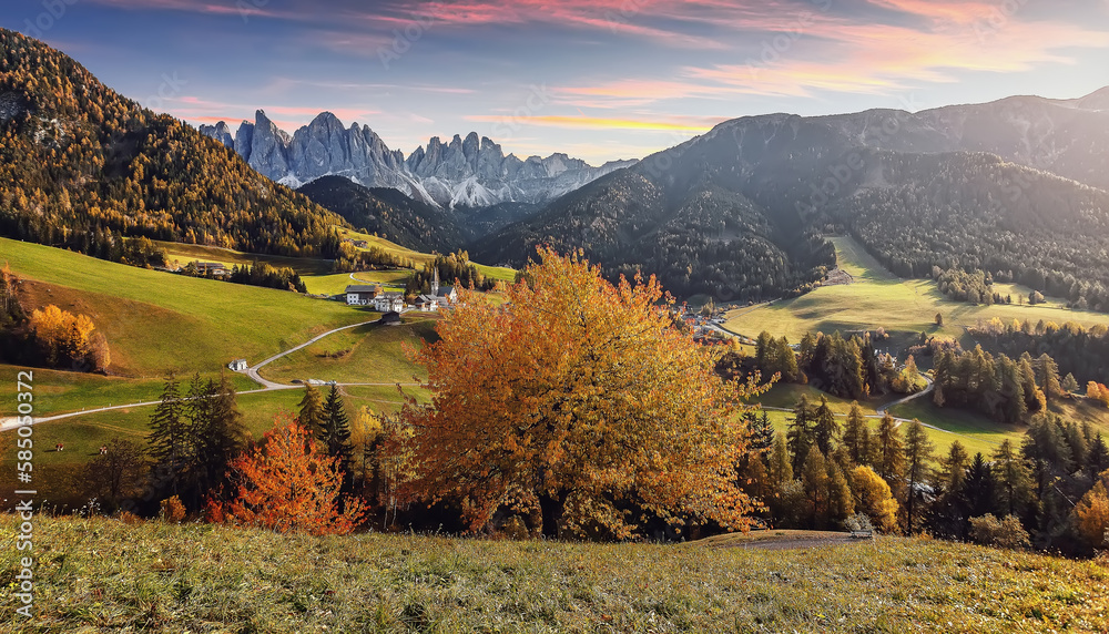 Incredible nature landscape in the Dolomites mountains. Fantastic autumn View on mountain valley, alone colorful tree under sunlight. Famous view in Santa Maddalena village during sunset