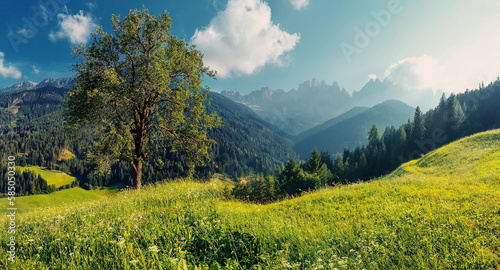 Idyllic landscape in the Alps with fresh green meadows. Scenic images of Dolomites Alps. Fantastic Sunny Morning over the mountains valley. Amazing alpine nature. Unsurpassed sunrise in the mountains © jenyateua