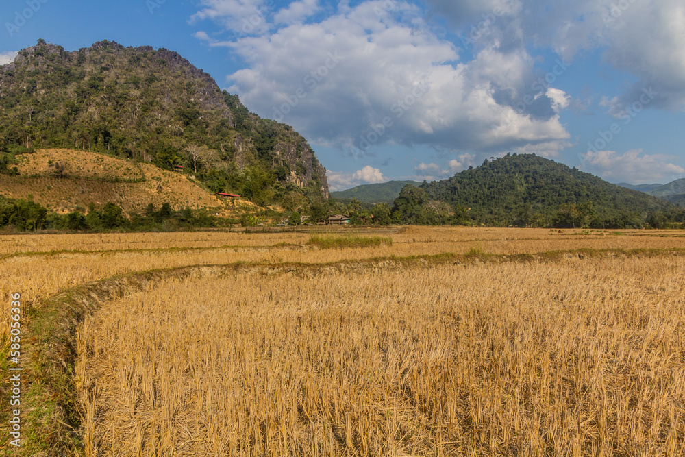 Rice stubble field near Muang Ngoi Neua village, Laos. Rice stubble field near Muang Ngoi Neua village, Laos.