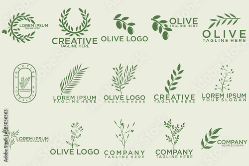 olive branch logo design with green logo