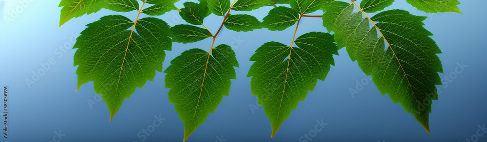 Illustration of a vibrant green leaf with intricate details and textures created with Generative AI technology Illustration of a vibrant green leaf with intricate details and textures created with Generative AI technology