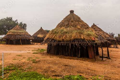 Huts in a village of Hamer tribe near Turmi, Ethiopia photo