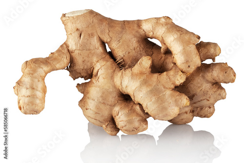Ginger root on a white background.