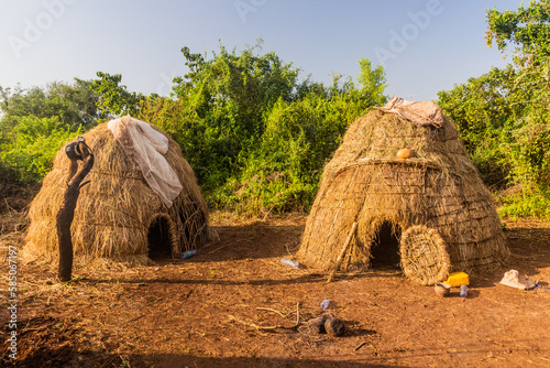 Huts of Mursi tribe village, Ethiopia photo