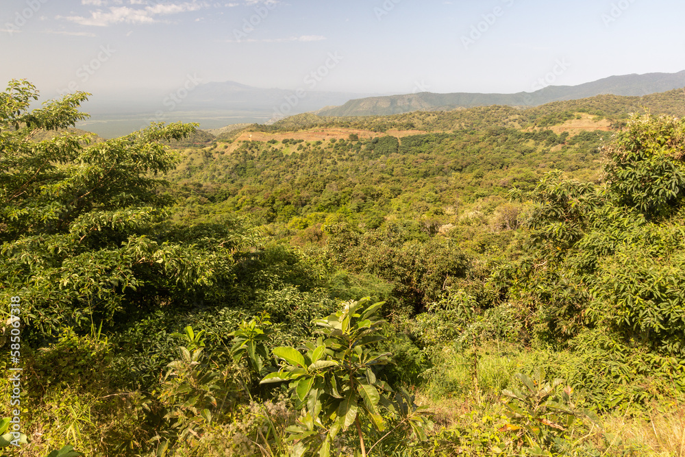 Landscape of Mago National Park, Ethiopia