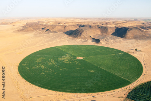 Irrigation systems create green circular fields in the dry Arabian desert
