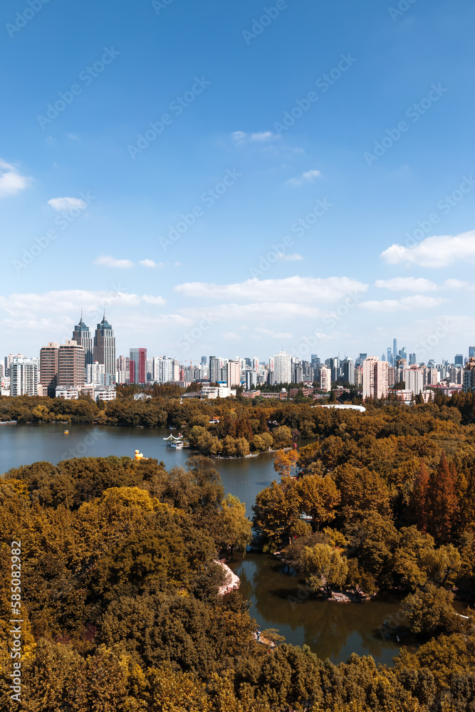 Aerial view of urban skyline and city parks.	