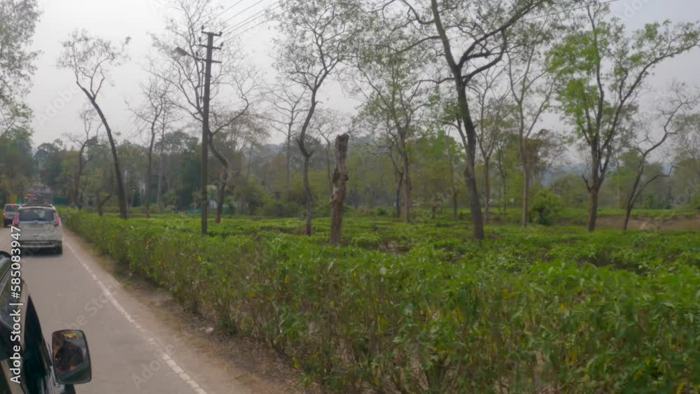 17th March, 2023, Kaziranga, Assam, india A car passing through the