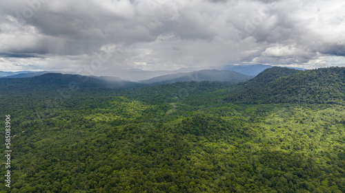 Aerial drone of rainforests on the island of Borneo. Jungle in the tropics. Malaysia. © Alex Traveler