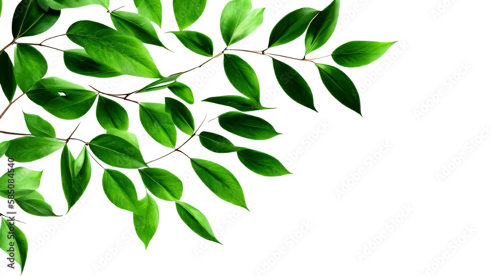 green leaves background green leaves background