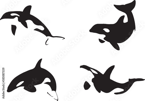 silhouette of orca set. negative space. only black. isolated images. eps 10 photo