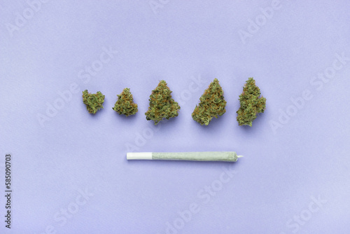 Dry buds of medical marijuana lie in a line, under them a joint king size made of white paper.  On a lavender background, copy space