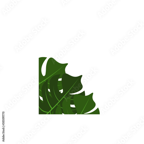 Corner Tropical Leaf