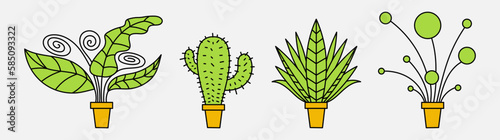 Set of decorative plants in pots. Flat vector illustration. House plants clipart.