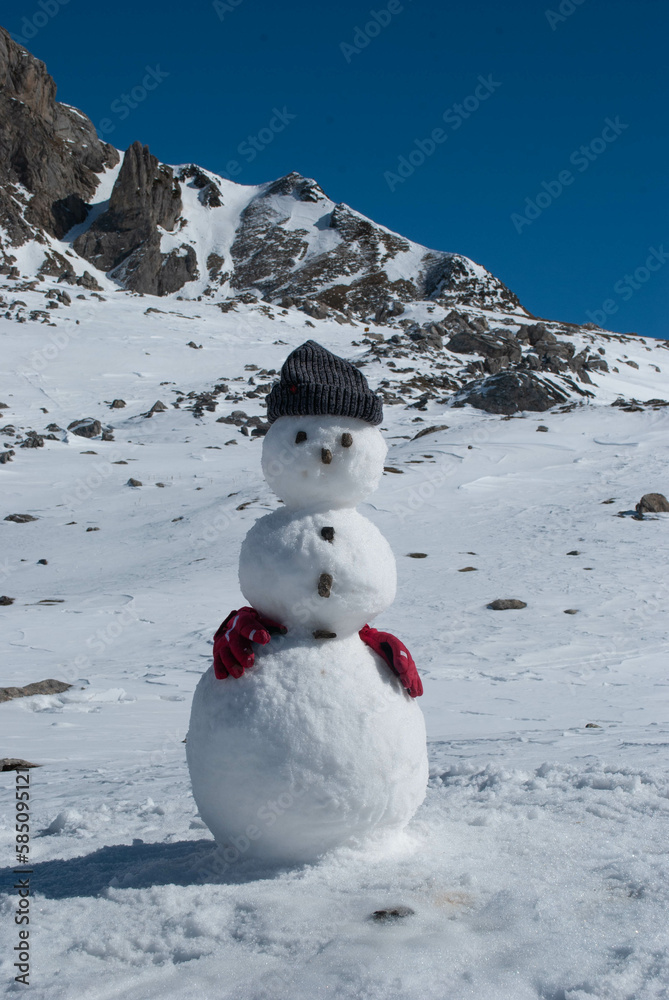 Obraz premium Snowman in Winter Wonderland
