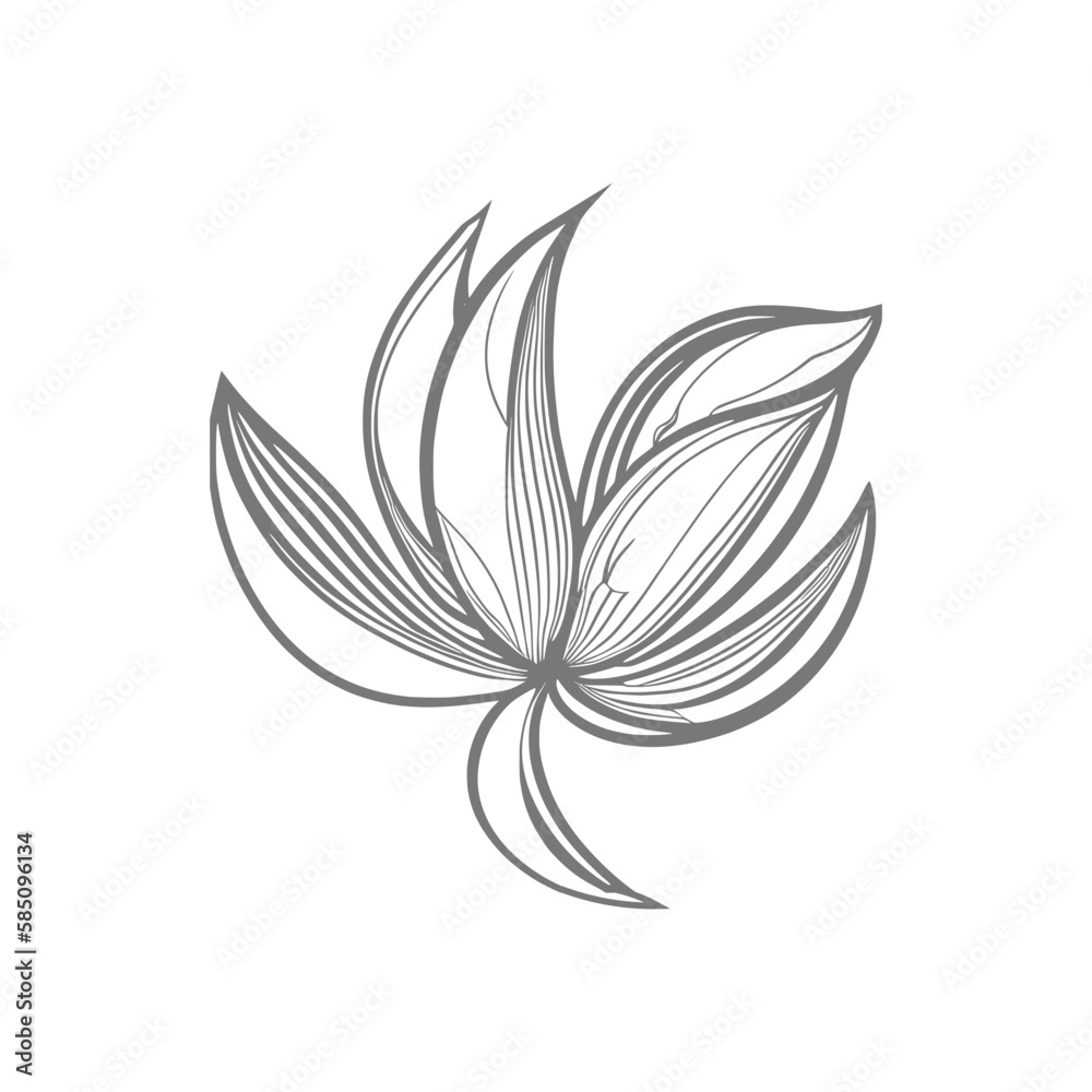 Lily flowers coloring books Make Line art, hand-drawn illustrations.Perfect for creating coloring pages, coloring books, enchanting holiday invitations, and other creative projects. Lily flowers coloring books Make Line art, hand-drawn illustrations.Perfect for creating coloring pages, coloring books, enchanting holiday invitations, and other creative projects.